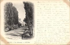 CPA Arles Les Alyscamps Carte 1900