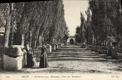CPA Arles Arlesiennes aux Aliscamps Allees des Tombeaux 