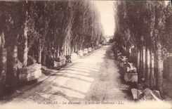 CPA Arles Les Aliscamps L'Allee des Tombeaux 
