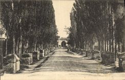 CPA Arles Les Aliscamps 
