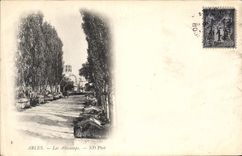 CPA Arles Les Aliscamps 
