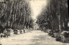 CPA Arles Les Aliscamps 