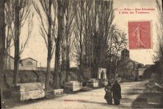 CPA Arles Aux Aliscamps L'Allee des Tombeaux 