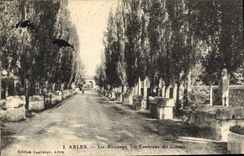 CPA Arles Les Aliscamps Les Tombeaux des Consuls 