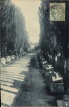 CPA Arles Les Alyscamps L'Allee des Tombeaux 