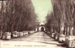 CPA Arles Les Alyscamps Allee des Tombeaux 