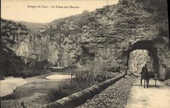CPA Gorges du Tarn La Route aux Baumes 