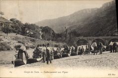 CPA Gorges du Tarn Embarquement aux Vignes Bateaux