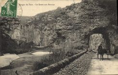 CPA Gorges du Tarn La Route aux Baumes 