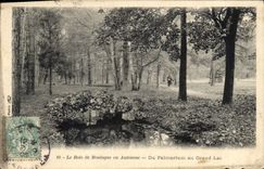 CPA Le Bois de Boulogne en Automne Du Palmarium au Grand Lac 