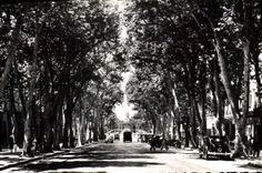 CPA Aix en Provence Cours Mirabeau 