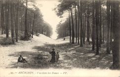 CPA Arcachon Vue dans les Dunes 