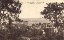 CPA Arcachon Cote d'Argent a travers les Pins 