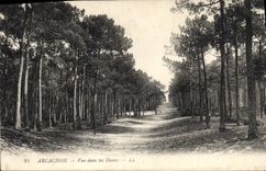 CPA Arcachon vue dans les Dunes 