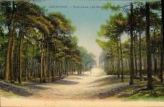 CPA Arcachon vue dans les Dunes 