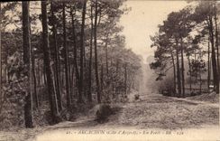 CPA Arcachon Cote d'Argent en Foret 