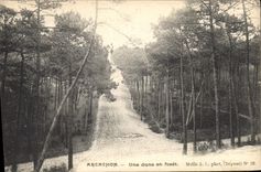 CPA Arcachon une dane en Foret 