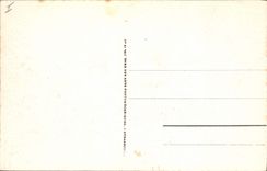 CPA Arcachon Cote d'Argent Route du Moulleau travers le Parc des Abatilles