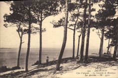 CPA Arcachon Cote d'Argent la Corniche de Moulleau les Abatilles 