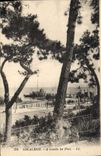 CPA Arcachon a travers les Pins 