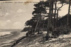 CPA Arcachon Cote d'Argent le Parc des Abatilles 
