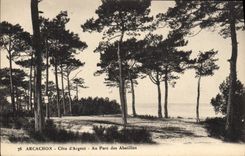 CPA Arcachon Cote d'Argent au Parc des Abatilles 