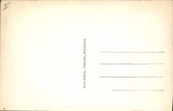 CPA Bordeaux le pont sur la Garonne 