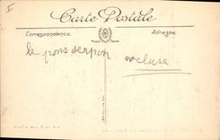 CPA Bordeaux les Quais de la Bourse 