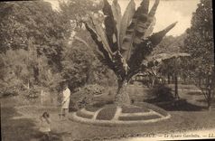 CPA Bordeaux le Square Gambetta 