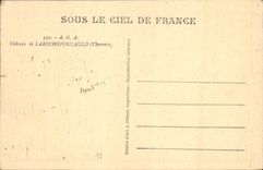 CPA A G A Chateau de Larocheroucauld Charente