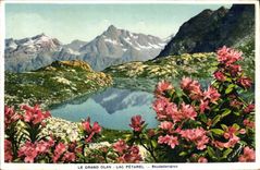 CPA Le Grand Olan Lac Petarel Rhododendron 