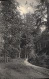 CPA Foret