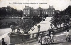 CPA Paris Palais du Senat et Jardins du Luxembourg 