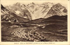 CPA Col du Lautaret (2056 m) et la Meije (3982 m) Moutons