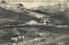 CPA Dauphine de Grenoble a Briancon Col du Lautaret (2075 m) et le Galibier Vaches