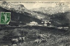CPA Dauphine de Grenoble a Briancon Col du Lautaret (2075 m) et le Galibier Vaches