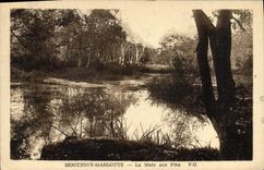 CPA Montigny Marlotte la Mare aux Fees