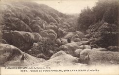 CPA Paysage de Bretagne Vallee de Toul Goulic pres Lanrivain (C du N)