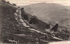 CPA Les Pyrenees Centrales Vallee de L'Arboust