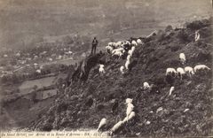 CPA Gazost Val prise du Sommet du Mont de Gez sur Arras et la Route d'Arrens Berger Moutons