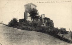 CPA Capvern les Bains (H P) Chateau de Mauvezin