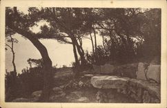 CPA Cassis sur Mer (B du Rh) Les Roches Blanches Hotel Restaurant Tea Room