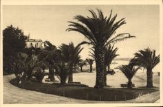 CPA Cote d'Emeraude Dinard (Bretagne) La Palmoraie