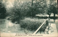 CPA Lucy sur Yonne Paysage pres de la passerelle Enfant Chiens