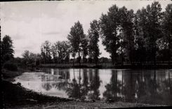 CPA Aisy sur Armancon (Yonne) Bords de l'Armancon