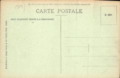 CPA Environs de Villeneuve sur Yonne Château du Buisson Souef Jardin et allee principale du parc sou