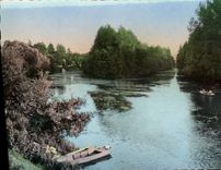 CPA Vincelles (Yonne) L'Ile de Vincelottes