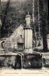 CPA Environs de Tanlay La Fontaine de St Gauthier a Quincy