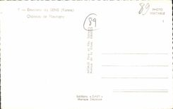 CPA Environs de Sens Yonne Chateau de Fleurigny