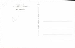 CPA Chateau de Fleurigny Yonne La Chapelle 